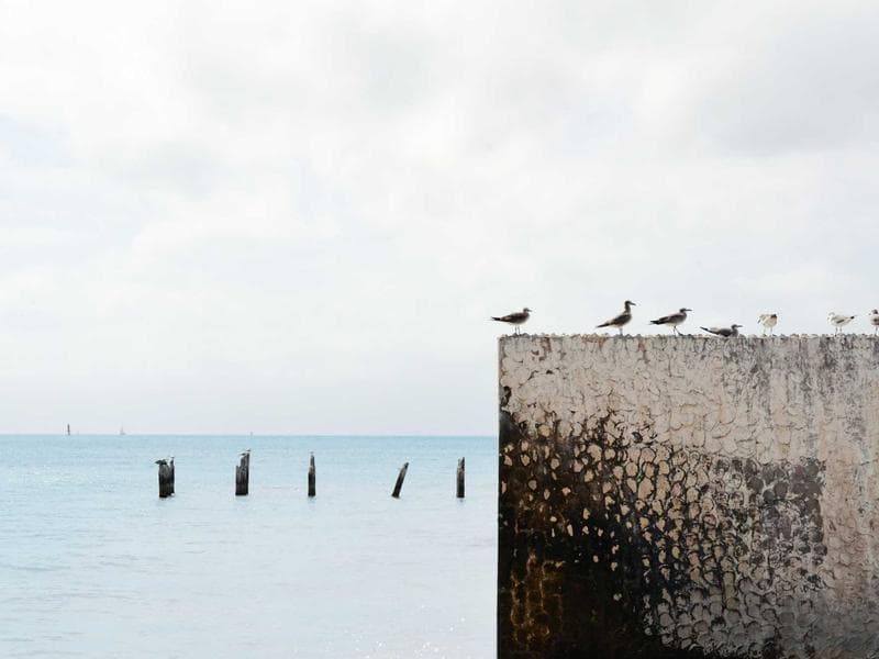 Bobcat S770 Skid-Steer Loader