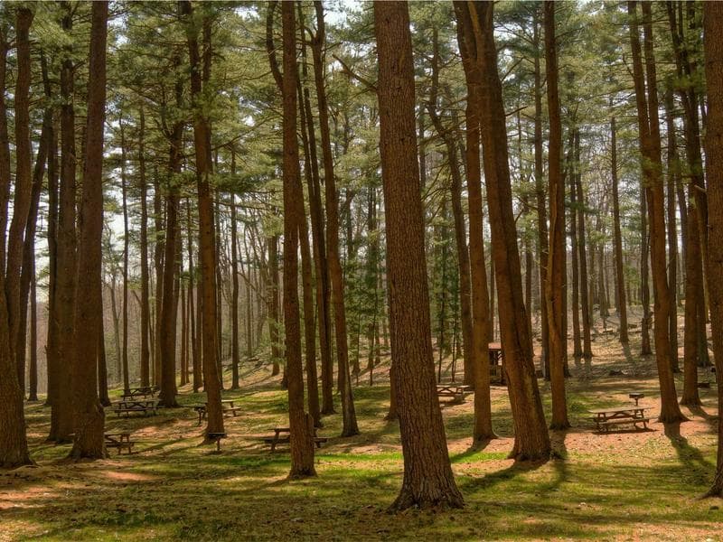 Bobcat S770 Skid-Steer Loader thumbnail 2