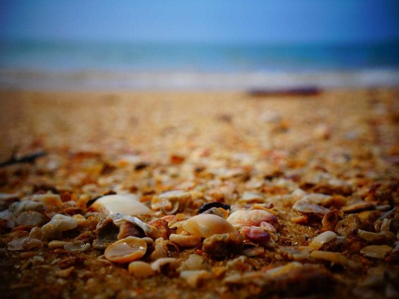 Case IH Magnum 340 CVX Tractor thumbnail 2