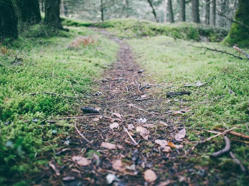 Caterpillar D6T XL Dozer thumbnail 3