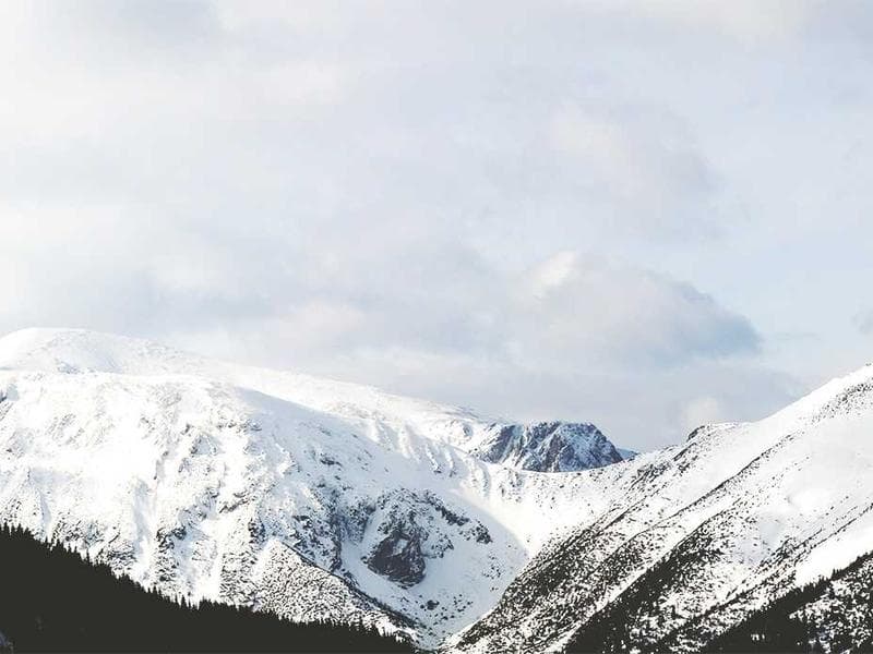 Claas Lexion 8700 Combine Harvester thumbnail 2