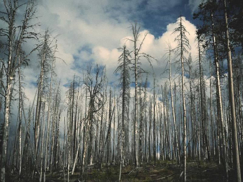 Fendt 942 Vario Gen6 Tractor thumbnail 3