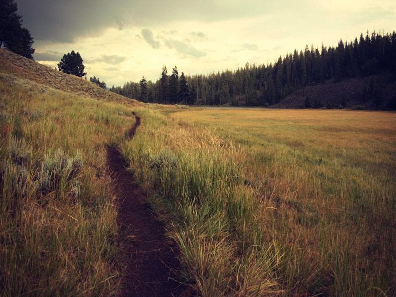 Iveco S-Way AS440S48T/P thumbnail 2