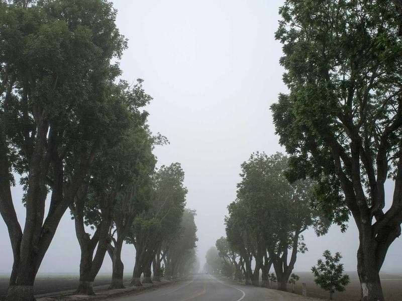 JCB 3CX ECO Backhoe Loader thumbnail 3