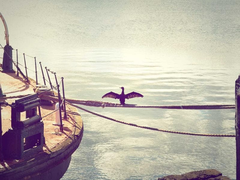 Komatsu PC210LC-11 Excavator thumbnail 2