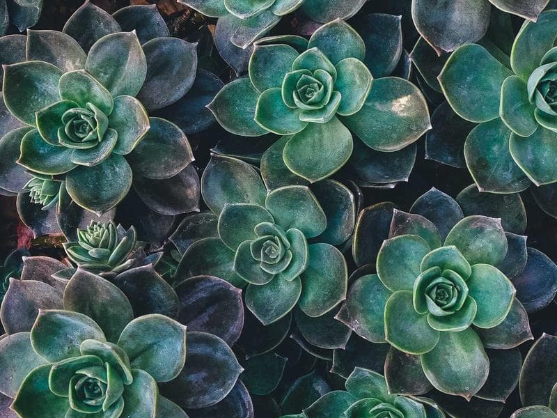 MAN TGX 18.500 4x2 BLS thumbnail 2