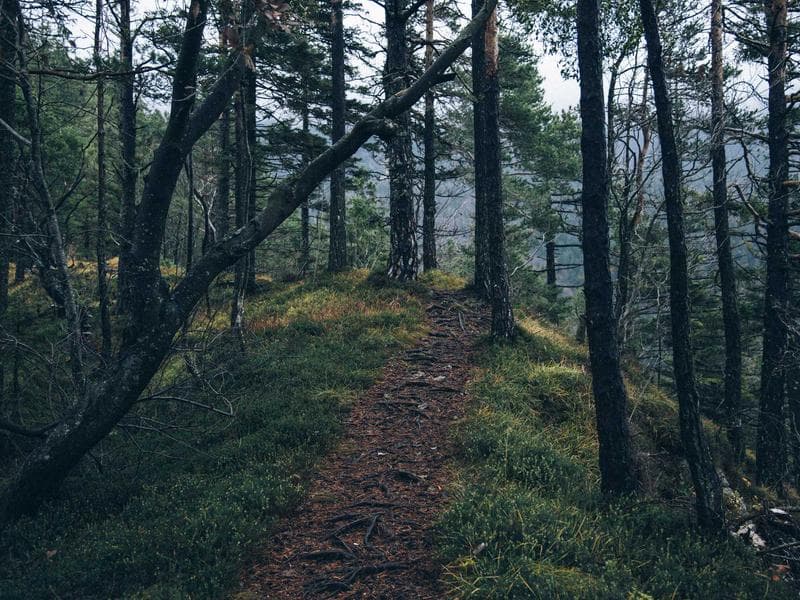 Manitowoc MLC300 Lattice Boom Crawler Crane thumbnail 2