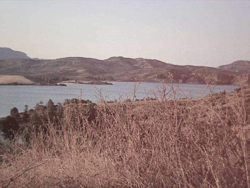 Massey Ferguson 8S.265 Dyna-VT Tractor thumbnail 2