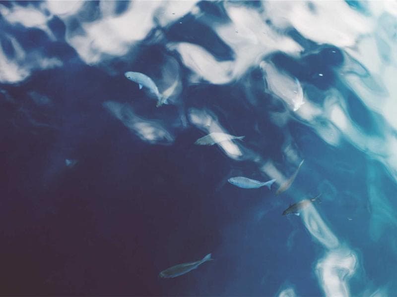 Mercedes-Benz Actros 1845 LS StreamSpace thumbnail 2