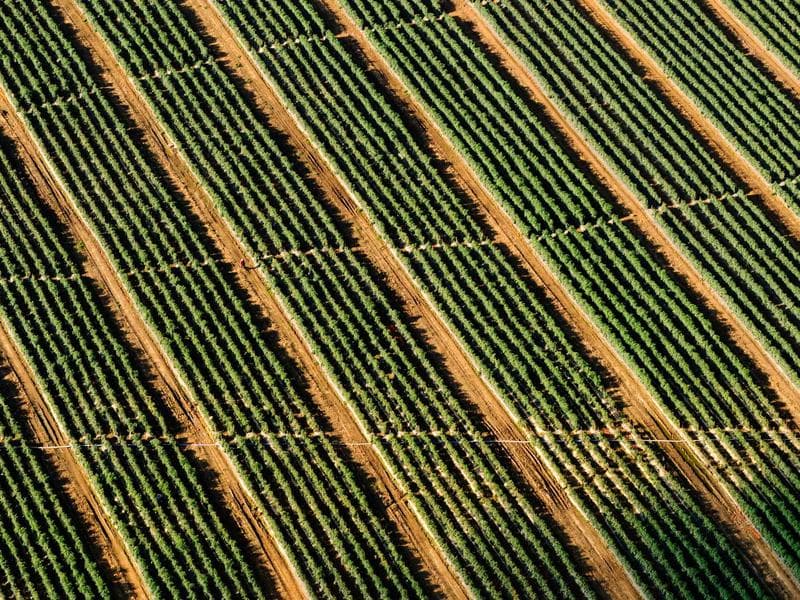 Volvo EC220E Crawler Excavator thumbnail 3